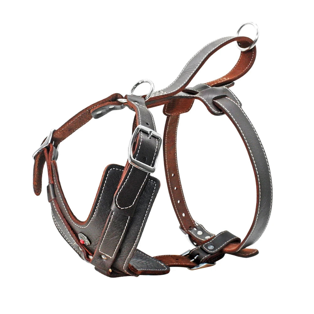 Genuine Leather Quick-Control Training Harness