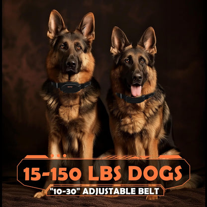 Professional Long-Range Dual-Dog System