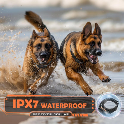 Professional Long-Range Dual-Dog System