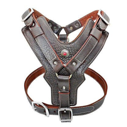 Genuine Leather Quick-Control Training Harness