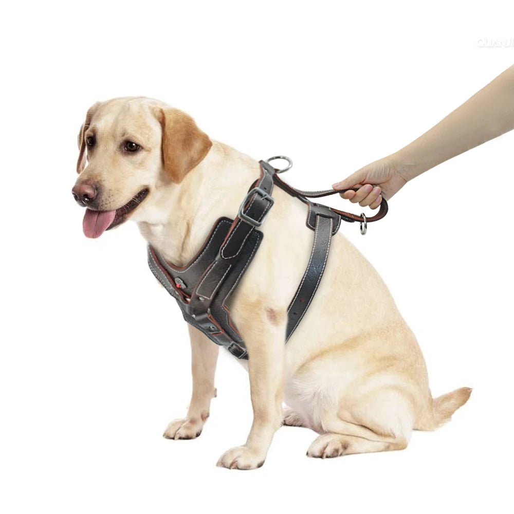 Genuine Leather Quick-Control Training Harness