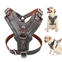 Genuine Leather Quick-Control Training Harness