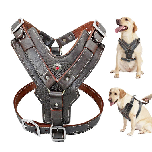 Genuine Leather Quick-Control Training Harness