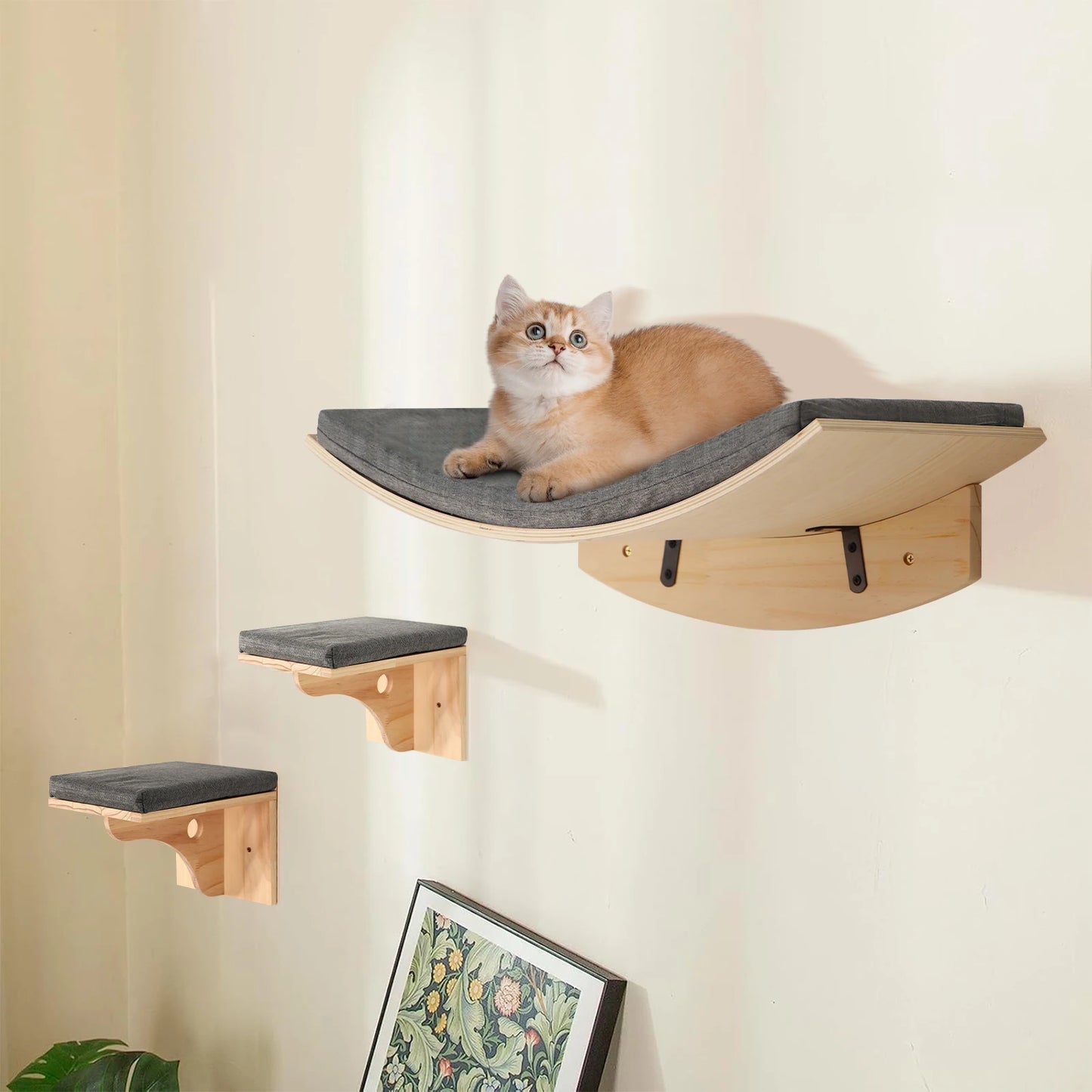 Soft Cushioned Wall Mounted Cat Shelves Indoor Cat Climbing Furniture Perch & Bed for Kittens/Adult Cats Sleeping & Playing