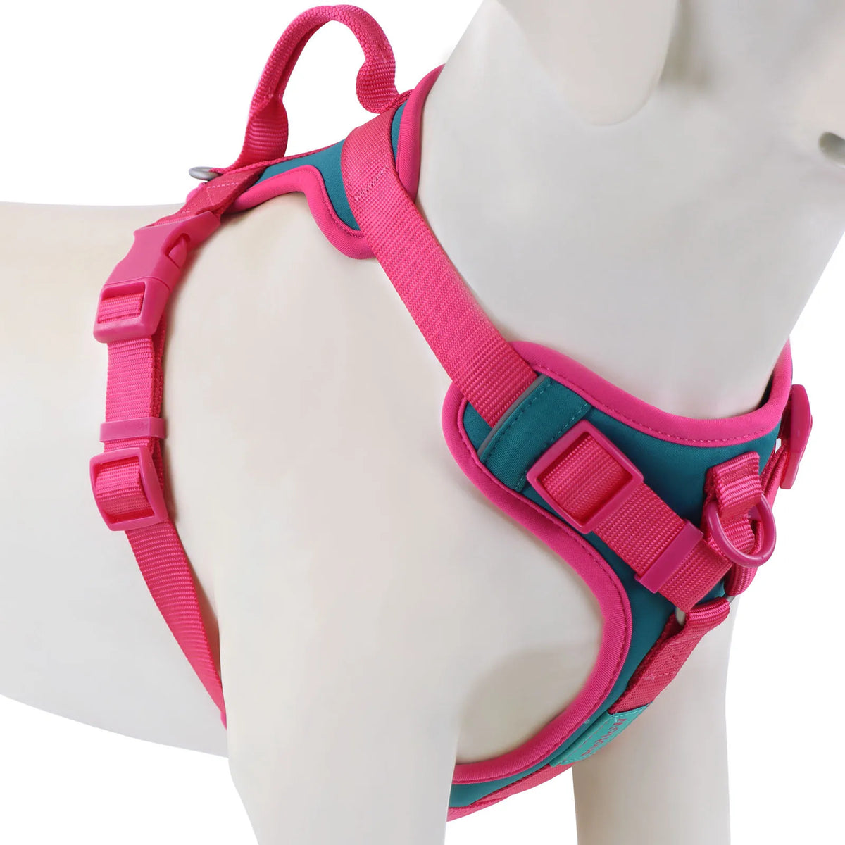 Signature Chocolate Personalized No-Pull Harness
