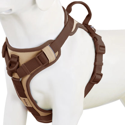 Signature Chocolate Personalized No-Pull Harness