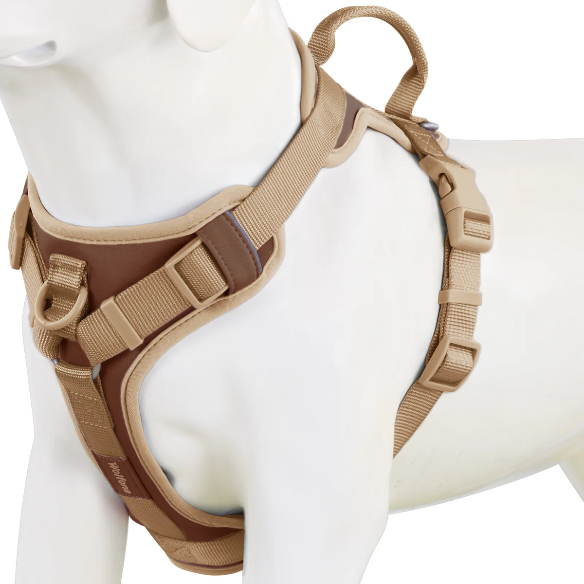 Signature Chocolate Personalized No-Pull Harness